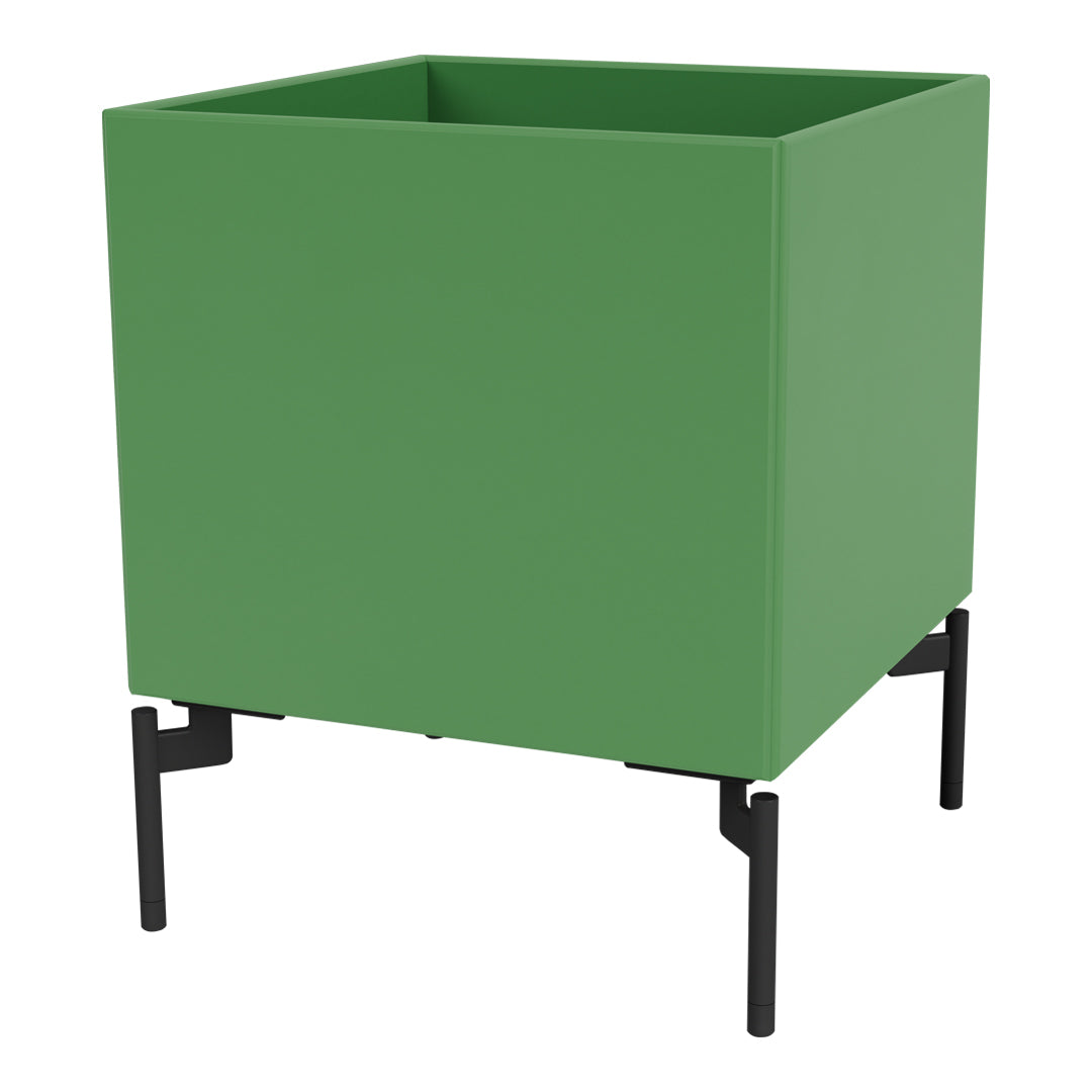 Boîte de couleur I ¨C S6161