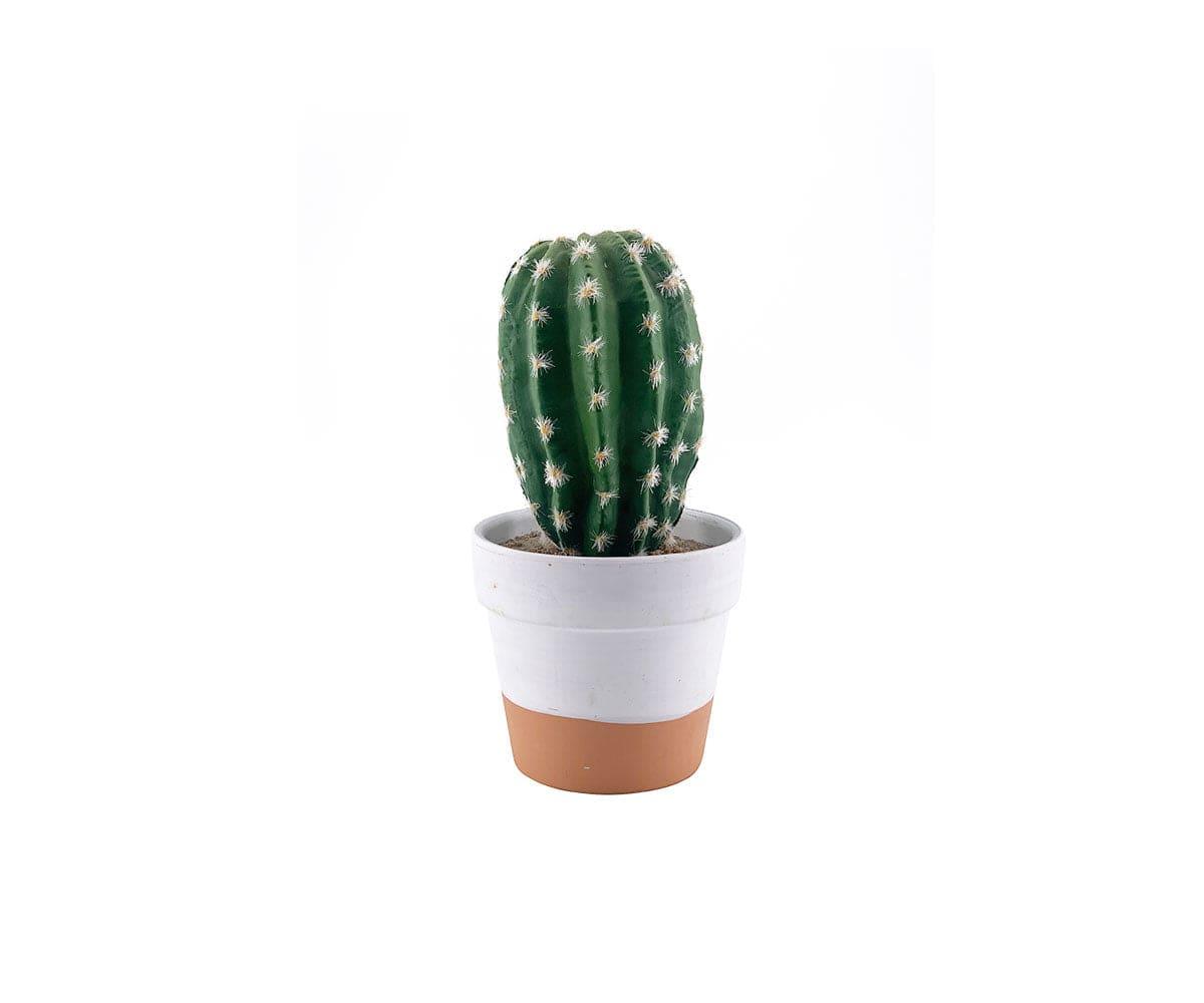 Faux cactus du désert en pot