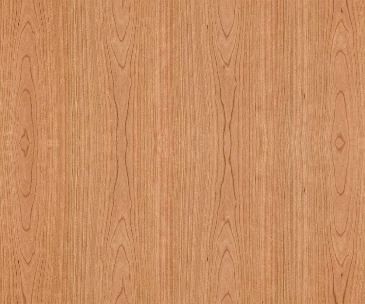 Table basse Baptisia