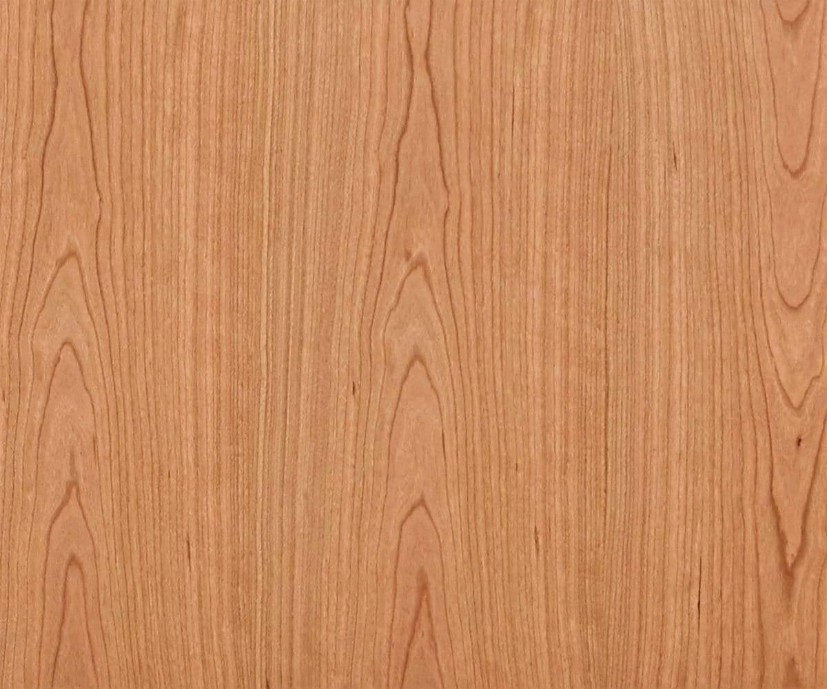 Stand média Baptisia 79