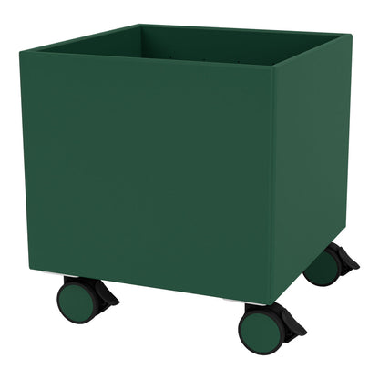 Boîte de couleur I ¨C S6161
