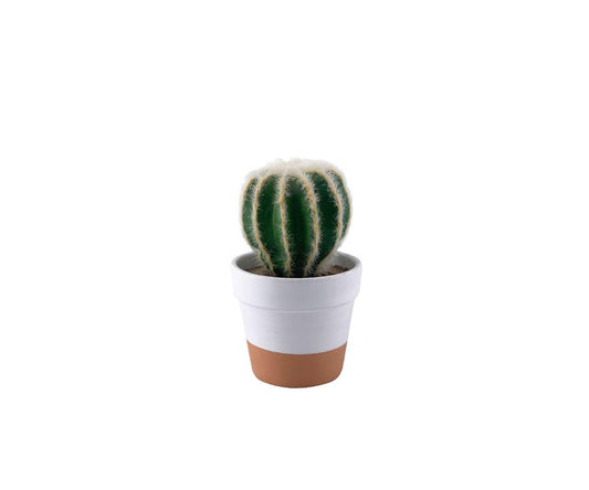Faux cactus tonneau en pot
