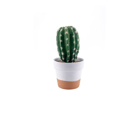 Faux cactus du désert en pot